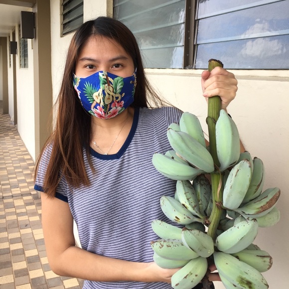 HAWAII Face Mask w/Filter 3-Layer Reusable - Picture 4 of 8